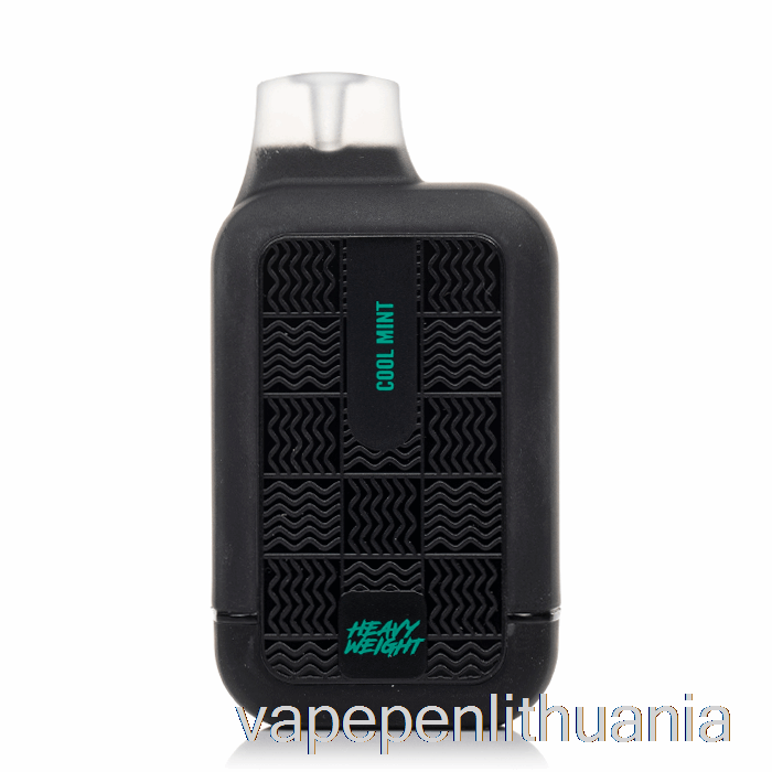 Tyson 2.0 Sunkiasvoris 7000 Vienkartinis šaltas Mėtų Vape Skystis